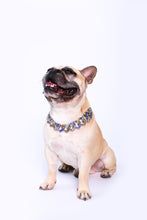 Load image into Gallery viewer, Saiyan Prince