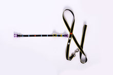 Load image into Gallery viewer, Dog of Destruction