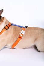 Load image into Gallery viewer, Saiyan Dog