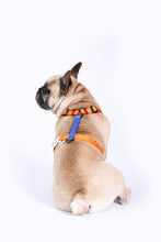 Load image into Gallery viewer, Saiyan Dog