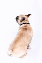 Load image into Gallery viewer, Dog of Destruction