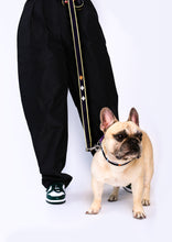 Load image into Gallery viewer, Dog of Destruction