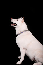 Load image into Gallery viewer, Saiyan Prince