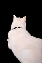 Load image into Gallery viewer, Dog of Destruction