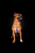 Load image into Gallery viewer, Saiyan Dog