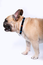 Load image into Gallery viewer, Dog of Destruction